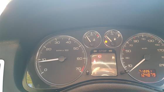 PEUGEOT 307 1.6 PRESENCE 16V FLEX 4P MANUAL